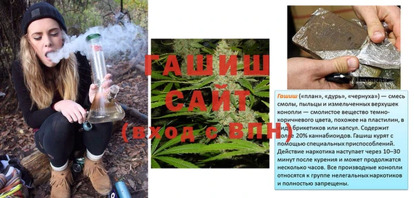 шишки Беломорск