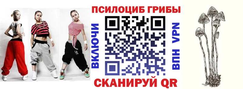 Галлюциногенные грибы мицелий Никольское